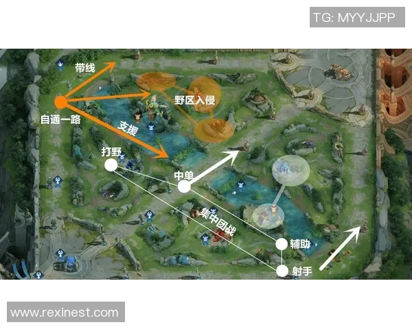 LNG在王者荣耀中的区域防守策略分析与成效评估